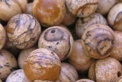  --CLEARANCE--  picture jasper 12mm round bead 