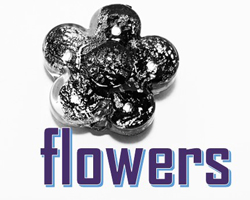 flowers (606)