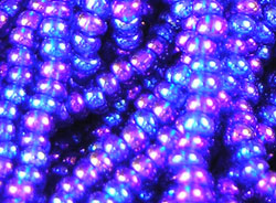  ornela czech glass #11 (11/0) rainbow luster cobalt seed bead - sold per gram (pp25g) 